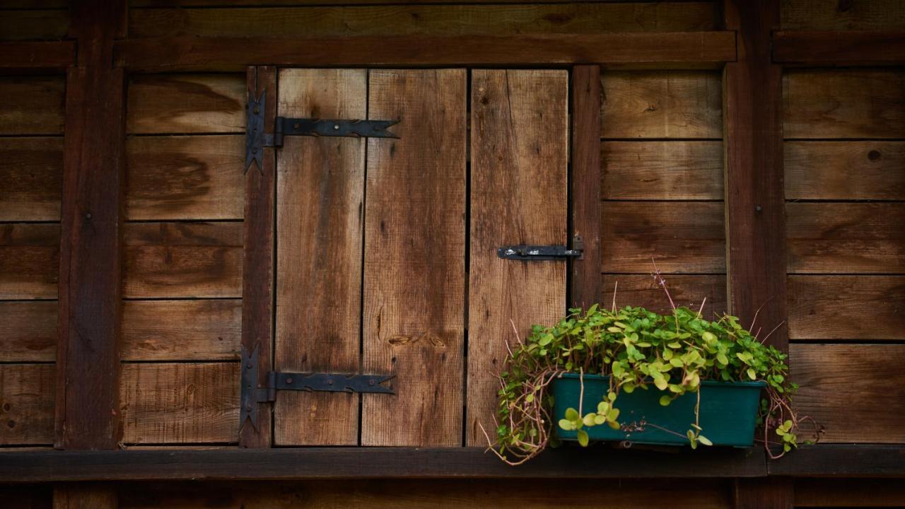 Epicos House, Your Home Away From Home. Nogueira  エクステリア 写真