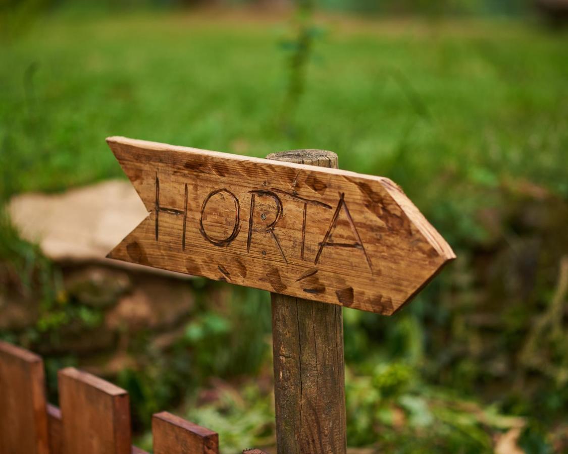 Epicos House, Your Home Away From Home. Nogueira  エクステリア 写真